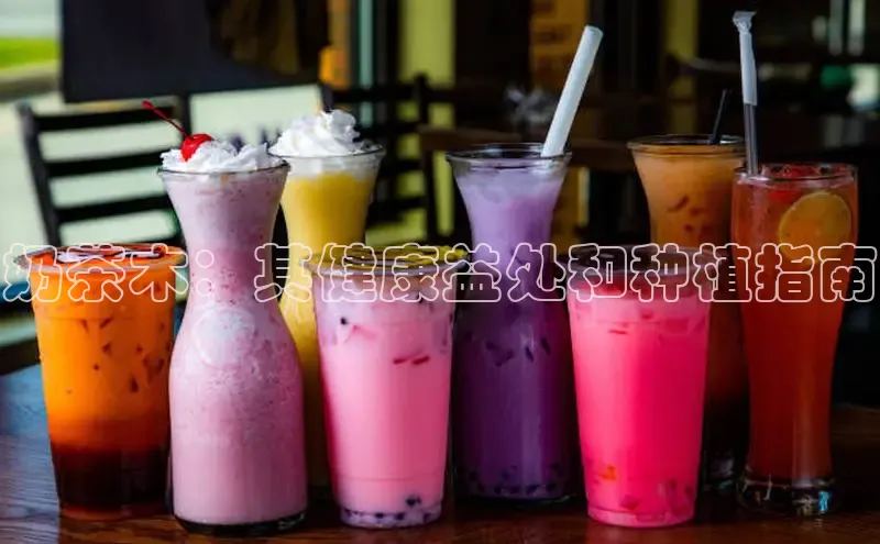 熊猫体育appARGA公司