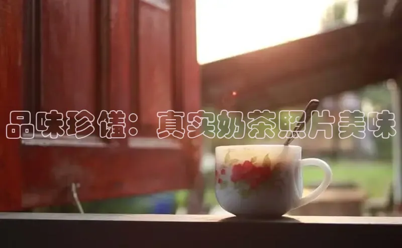 熊猫app官方网站百度手机输入法