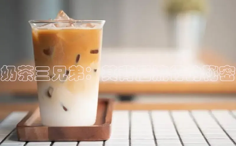 熊猫体育官网首页入口神思电子