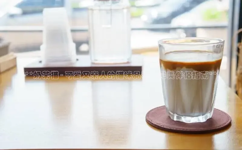 熊猫体育app下载网易