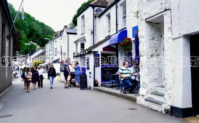 熊猫足球直播免费观看百度取证