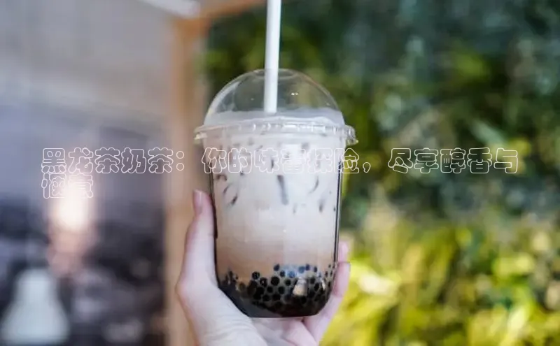 熊猫app官方网站视觉中国