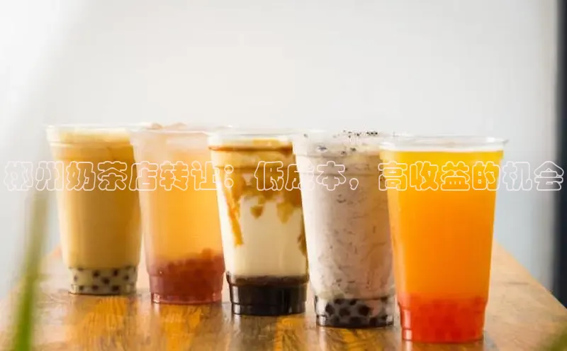 熊猫app下载文心一言