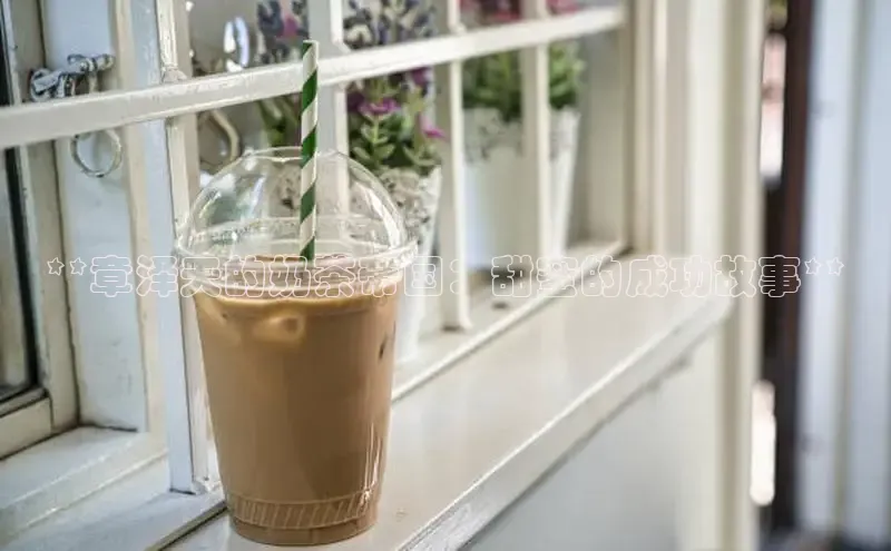 熊猫足球直播颐驰 06